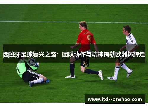 西班牙足球复兴之路：团队协作与精神铸就欧洲杯辉煌