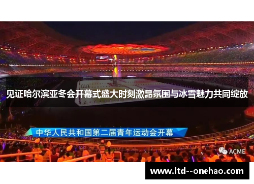 见证哈尔滨亚冬会开幕式盛大时刻激昂氛围与冰雪魅力共同绽放