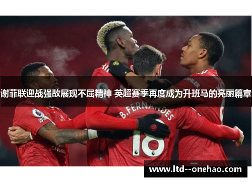 谢菲联迎战强敌展现不屈精神 英超赛季再度成为升班马的亮丽篇章