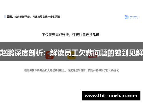 赵鹏深度剖析：解读员工欠薪问题的独到见解