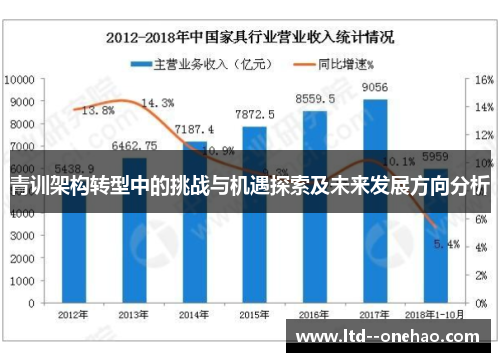 青训架构转型中的挑战与机遇探索及未来发展方向分析
