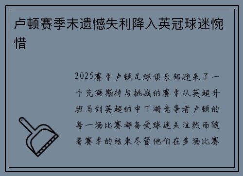 卢顿赛季末遗憾失利降入英冠球迷惋惜 卢顿赛季末遗憾失利降入英冠球迷惋惜