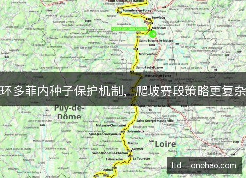 环多菲内种子保护机制，爬坡赛段策略更复杂